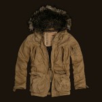 Hollister Imperial Beach Hooded Coat