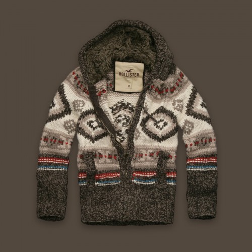 Hollister Desert Springs Hoody | £160